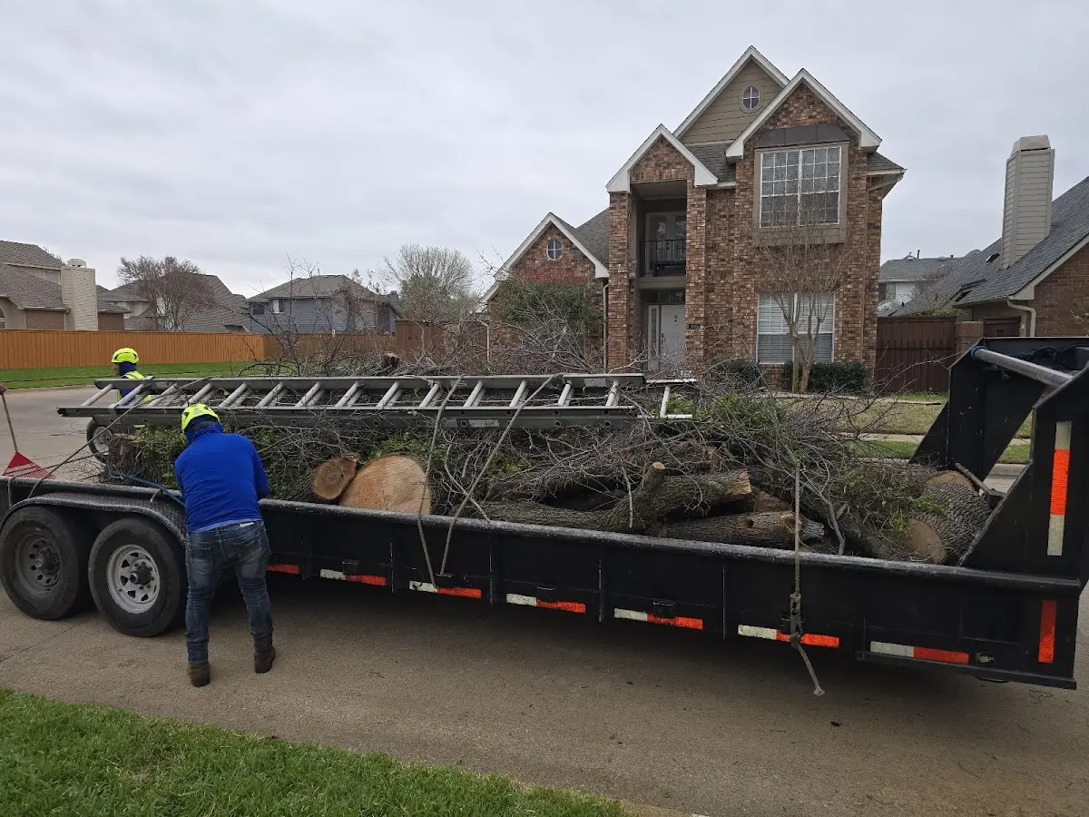 Expert Tree Fertilization with proper safety equipment in Humble